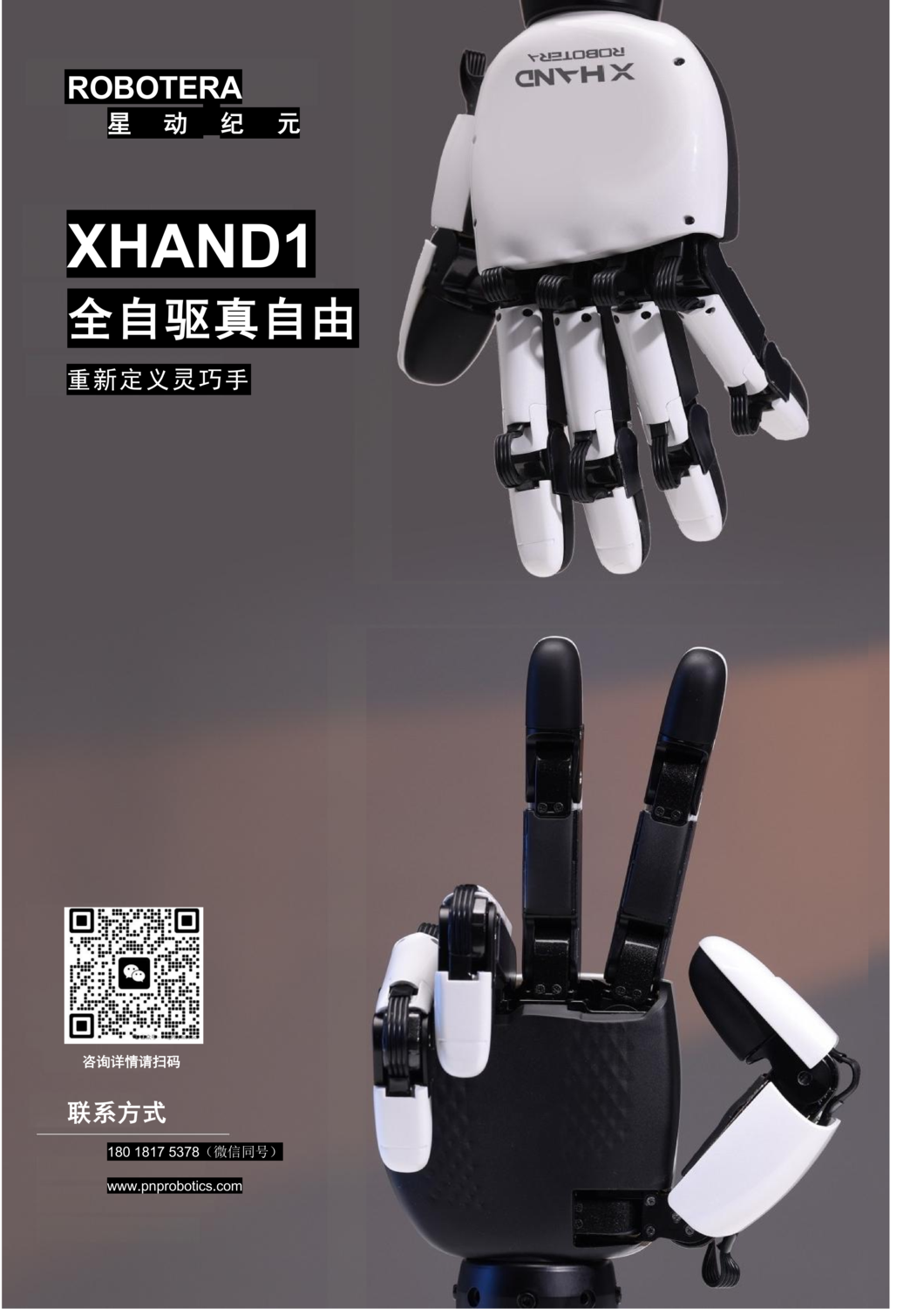 XHAND1-PNP_01.png
